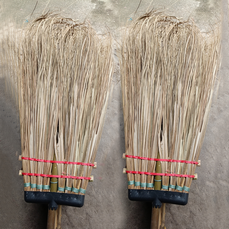 马路大扫把(黑胶半真葵)