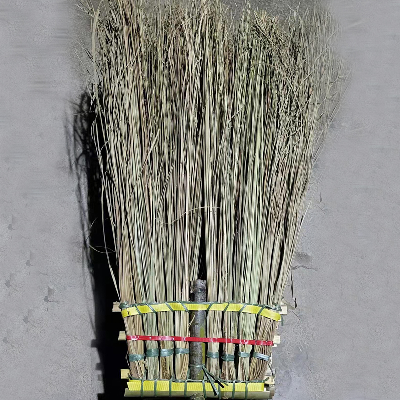 马路大扫把(真葵)