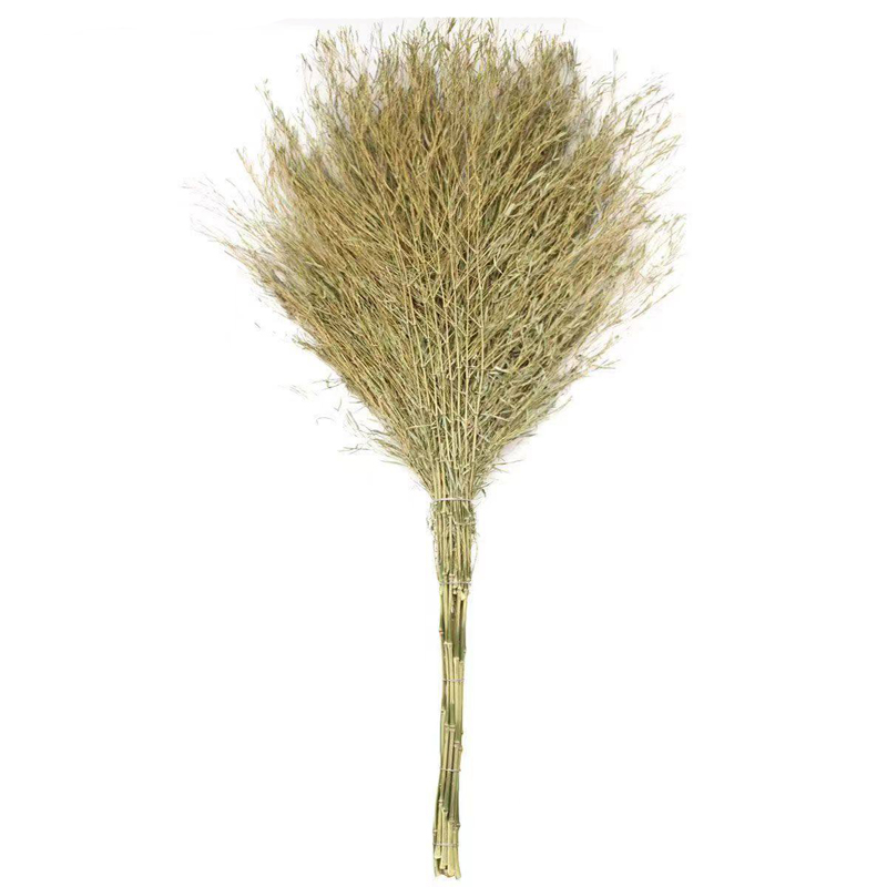 普通竹枝扫